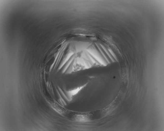X0000082970167200702152341