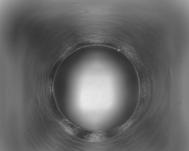 X0000082970172200702152341