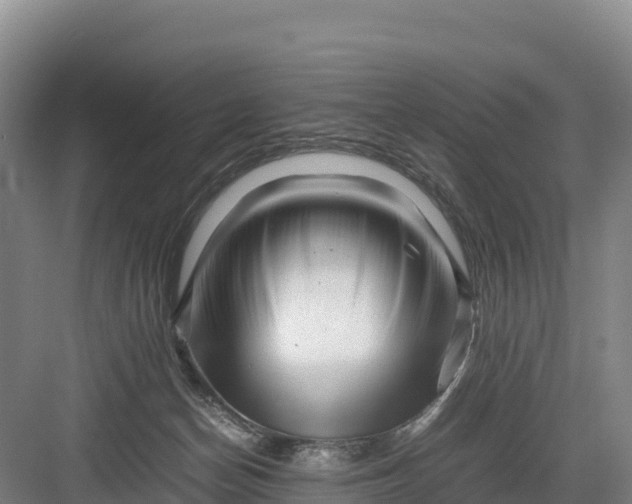 X0000082970174200702152341