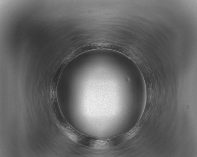 X0000082970176200702152341