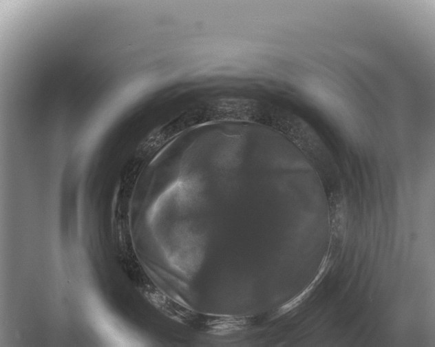 X0000082970191200702152341