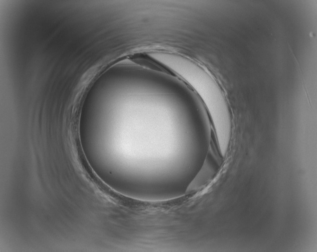 X0000082970193200702152340