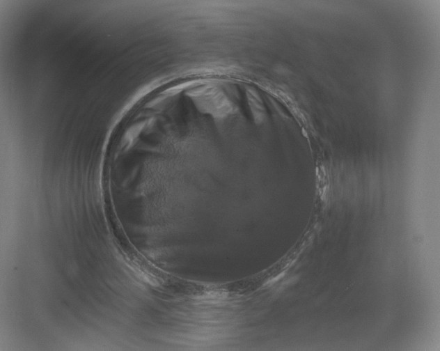 X0000082970196200702152340