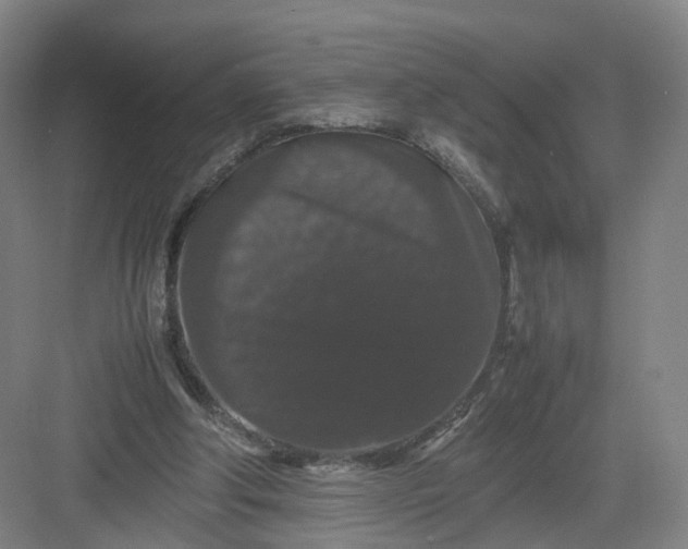 X0000082970202200702152340