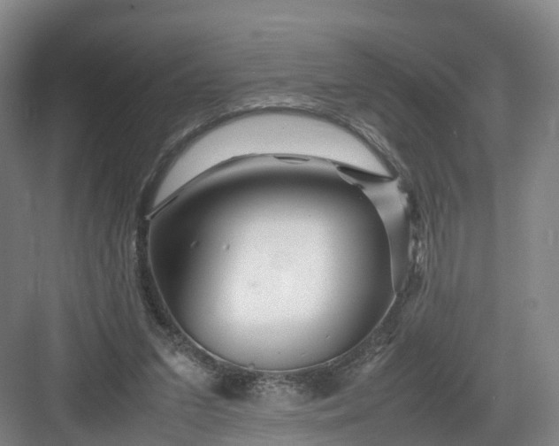 X0000082970207200702152340