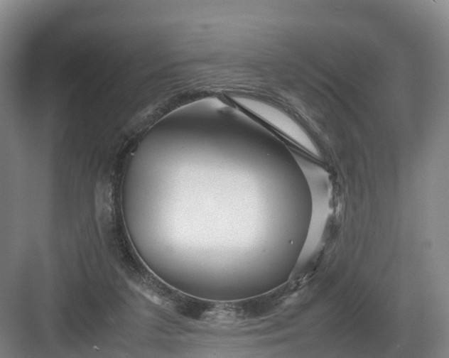X0000082970211200702152340