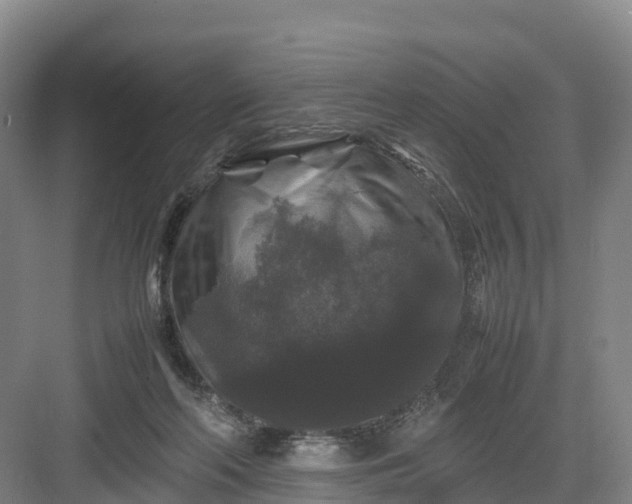 X0000082970214200702152340