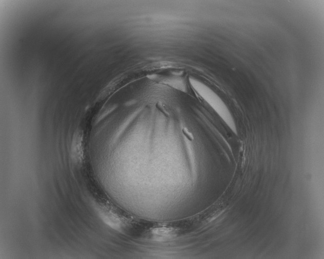 X0000082970216200702152340