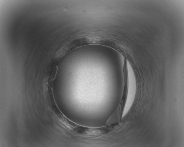 X0000082970221200702152340
