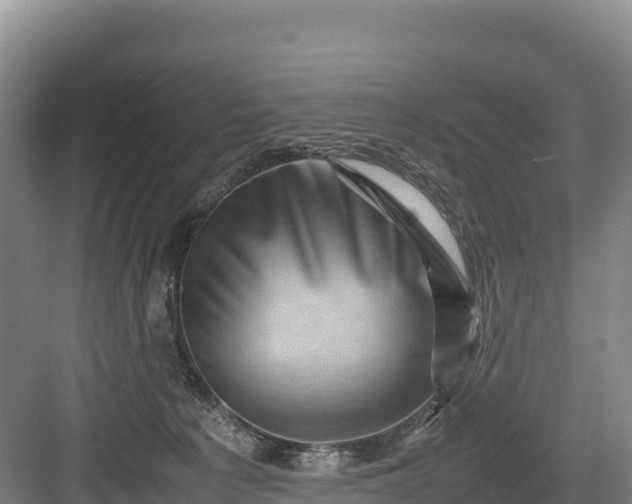 X0000082970225200702152340