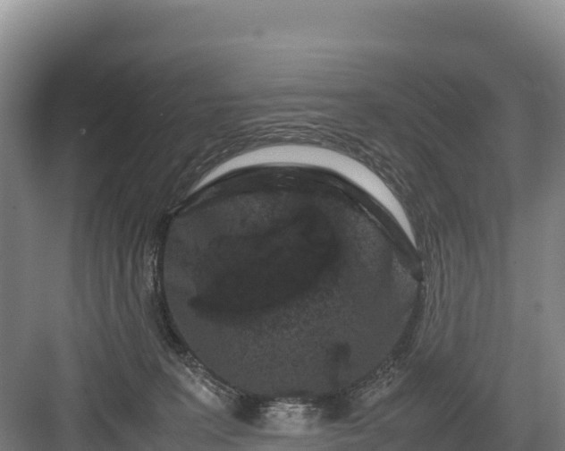 X0000082970227200702152340