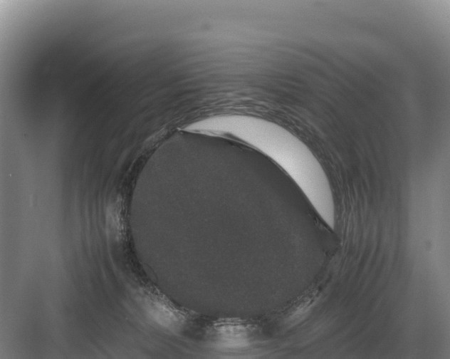 X0000082970228200702152340