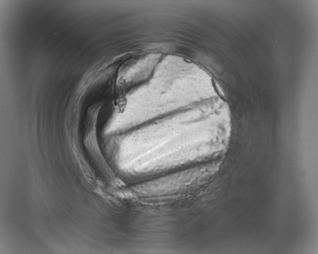 X0000082970241200702152339