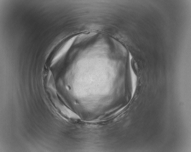 X0000082970242200702152339