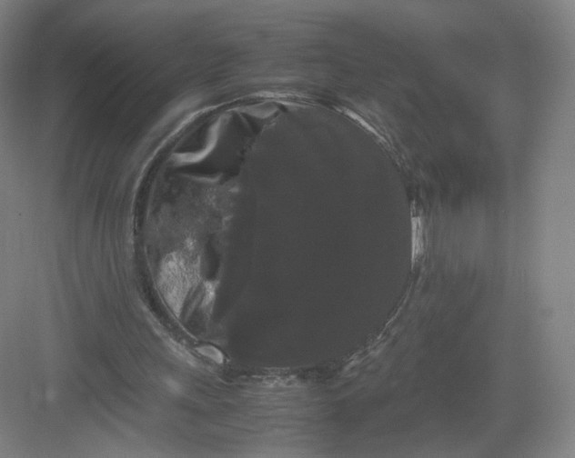 X0000082970243200702152339