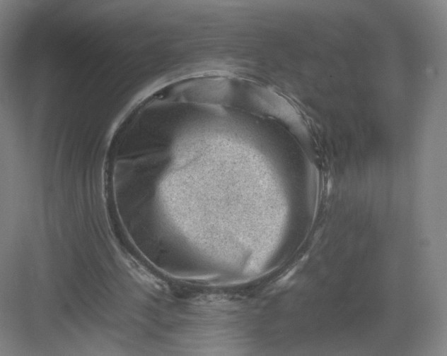 X0000082970244200702152339