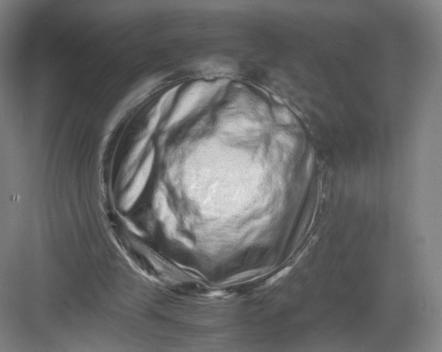 X0000082970245200702152339