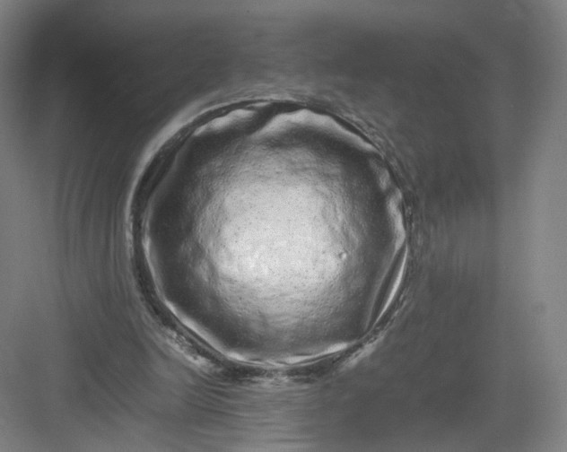X0000082970246200702152339