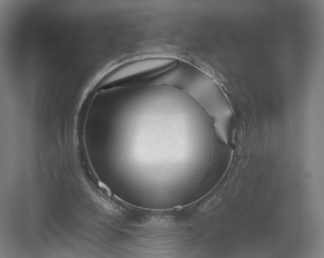 X0000082970248200702152339