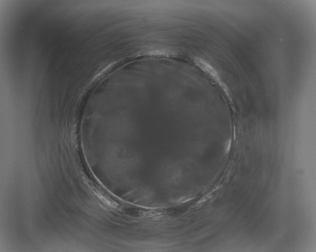 X0000082970249200702152339