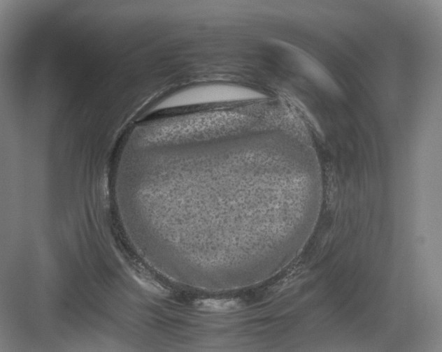 X0000082970251200702152339