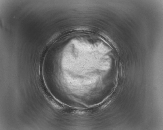 X0000082970253200702152339