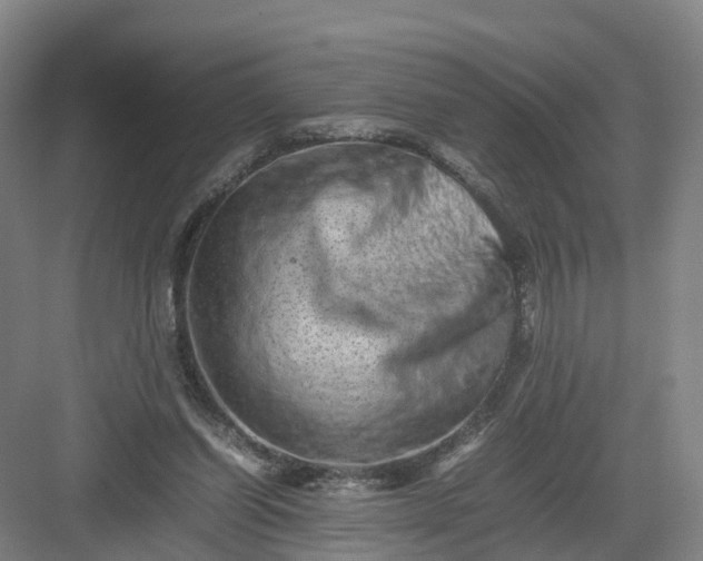 X0000082970254200702152339