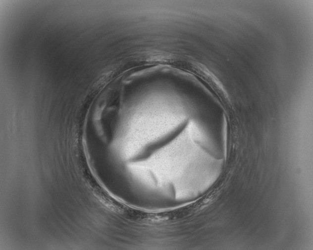 X0000082970257200702152339