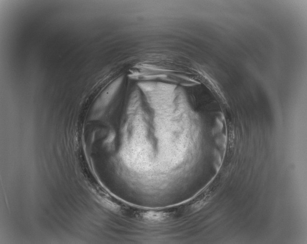 X0000082970261200702152339