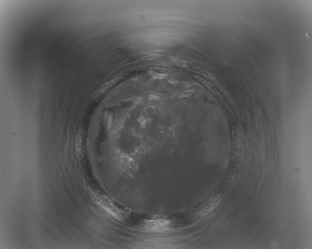 X0000082970266200702152339