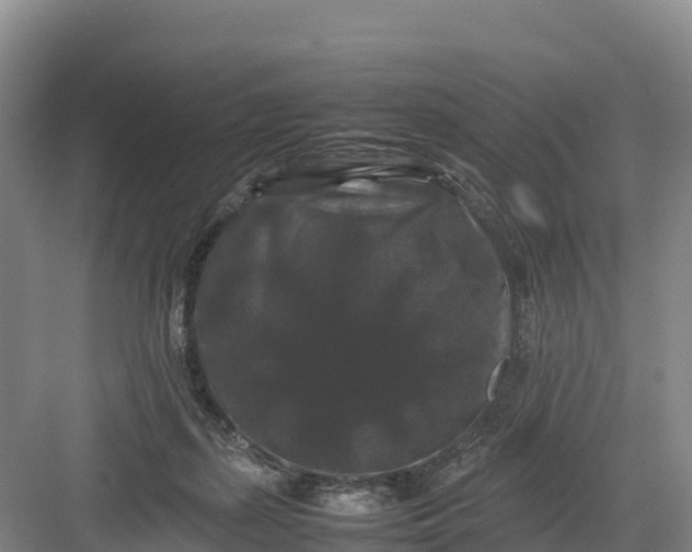 X0000082970267200702152339
