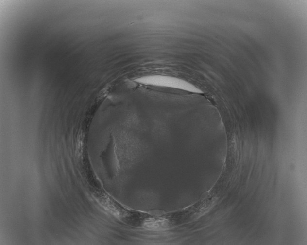 X0000082970271200702152339