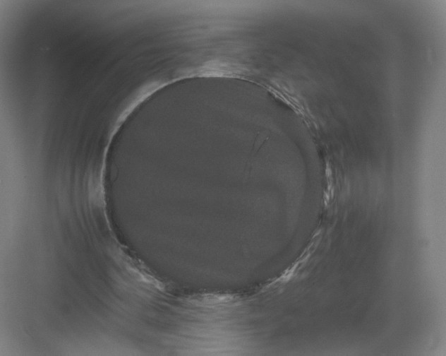 X0000082970292200702152339