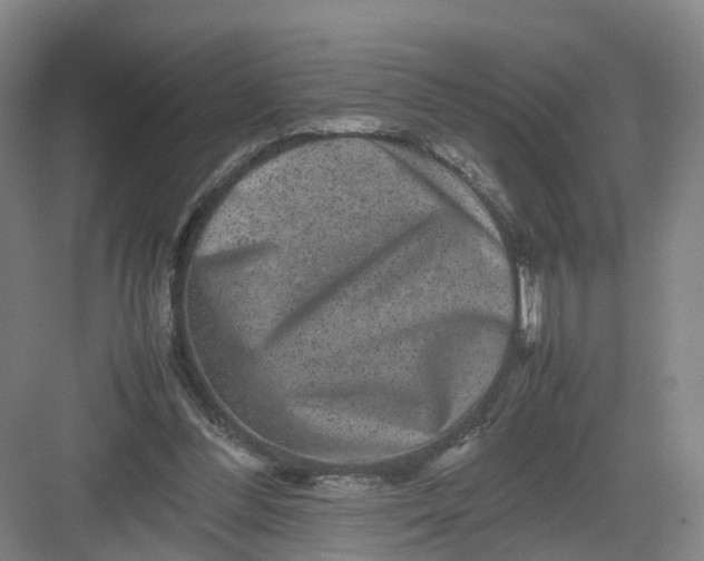 X0000082970300200702152339