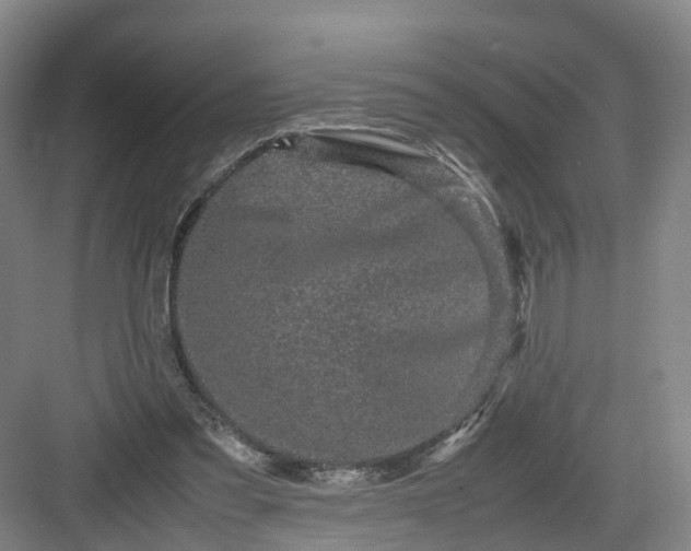 X0000082970301200702152339