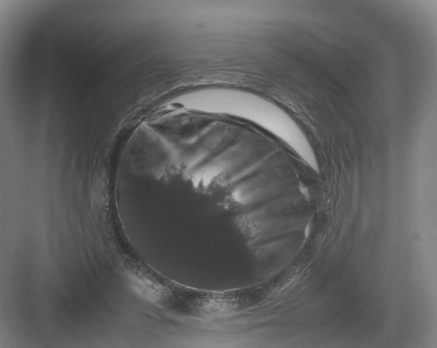 X0000082970303200702152339