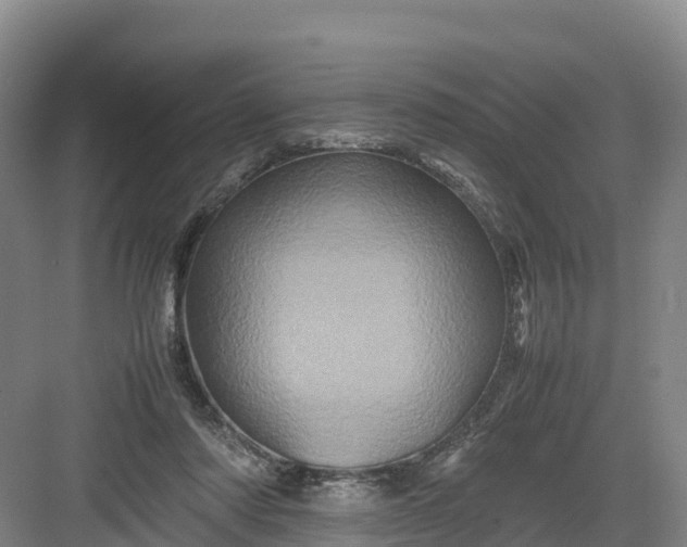 X0000082970310200702152338