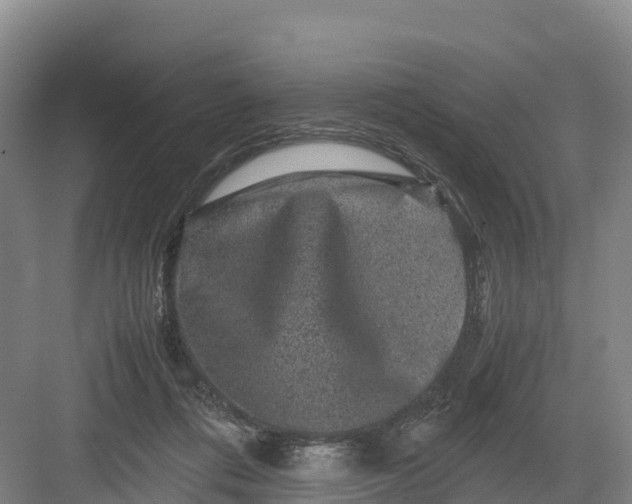 X0000082970312200702152338