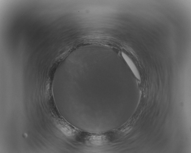 X0000082970314200702152338