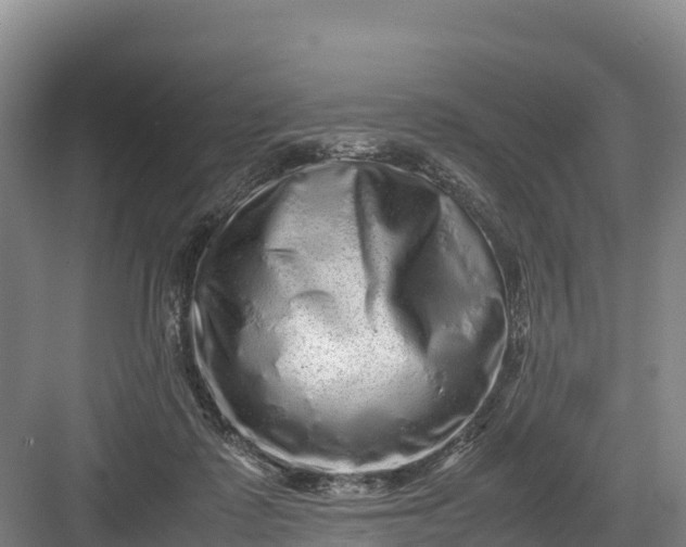 X0000082970315200702152338