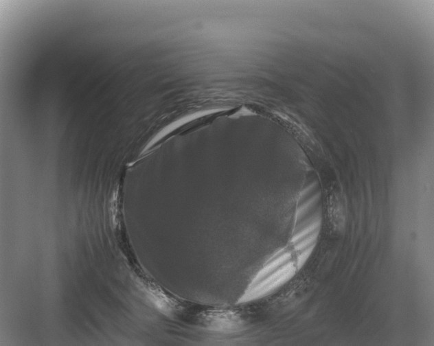X0000082970322200702152338