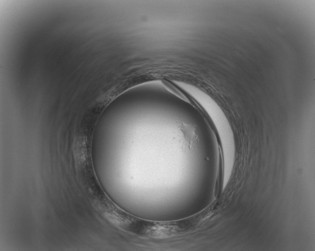 X0000082970323200702152338