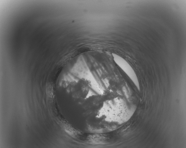X0000082970331200702152338