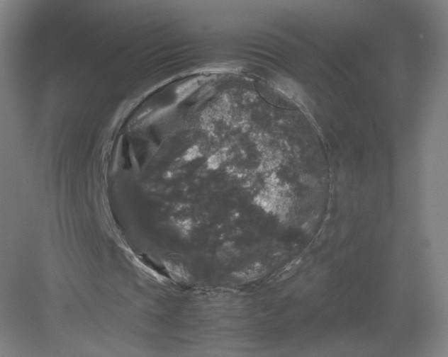 X0000082970337200702152337