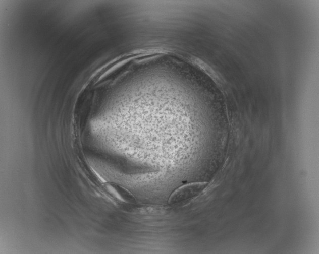 X0000082970338200702152337