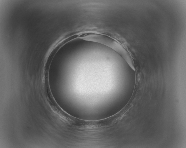 X0000082970344200702152337