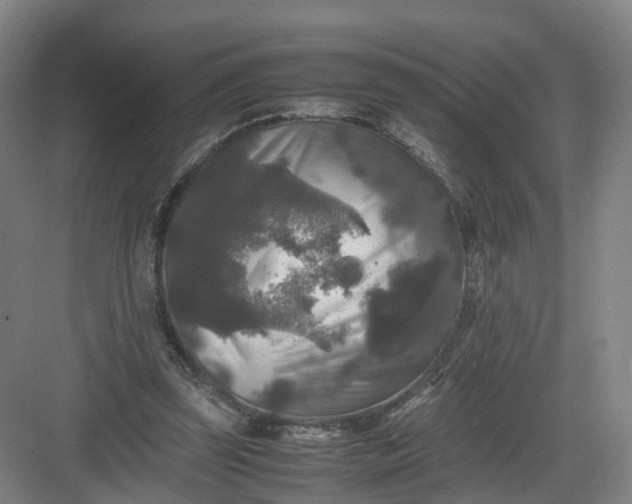 X0000082970347200702152337