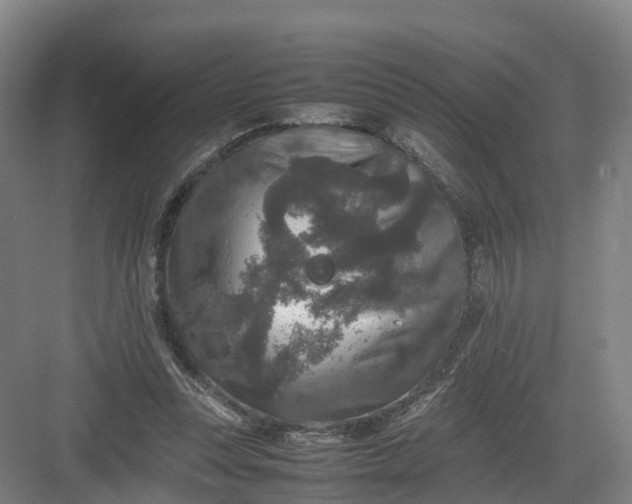 X0000082970351200702152337