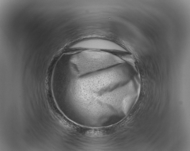 X0000082970354200702152337