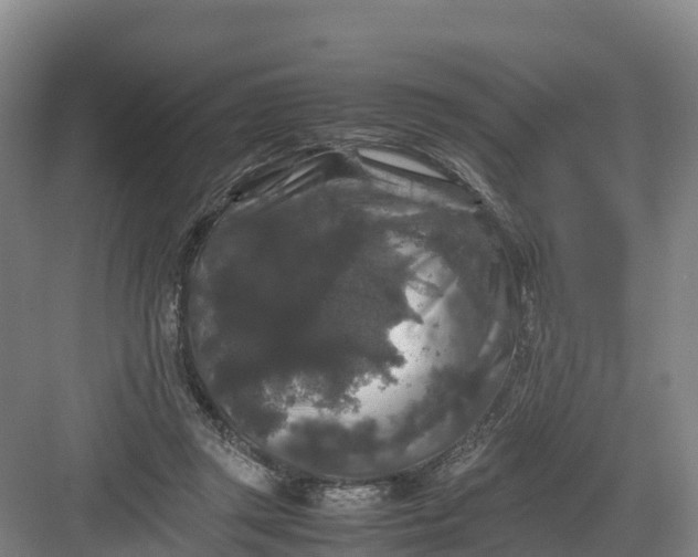 X0000082970357200702152338